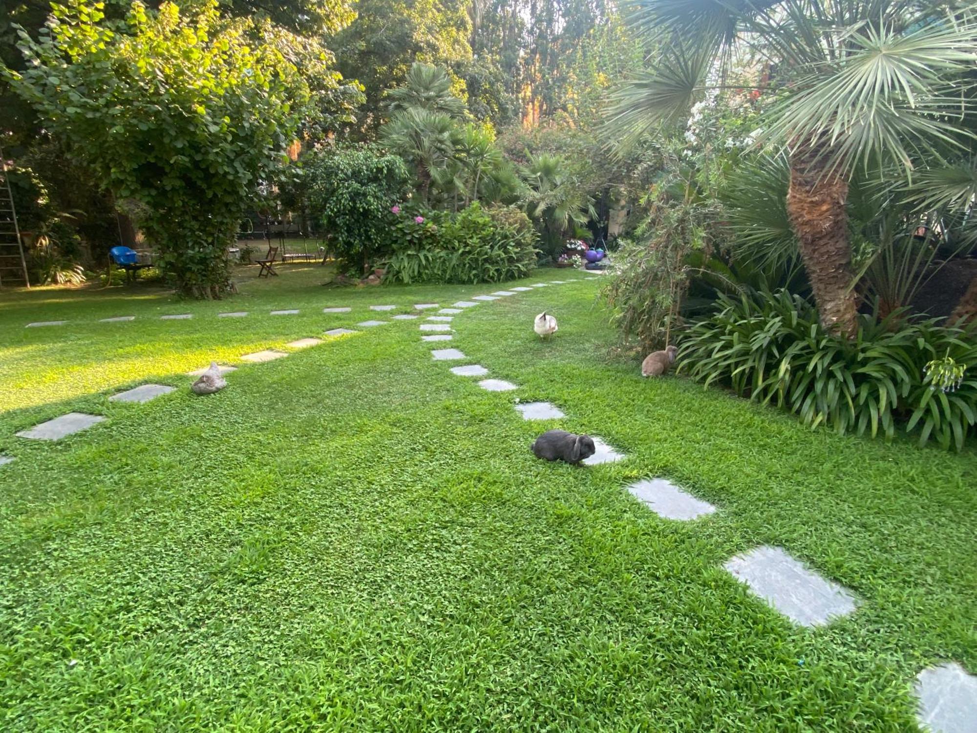 Villa Angelina Casa Limone Vallecrosia Dış mekan fotoğraf